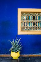 Jardin Majorelle