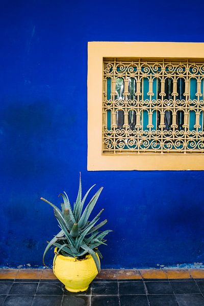 Jardin Majorelle par Patrycja Polechonska