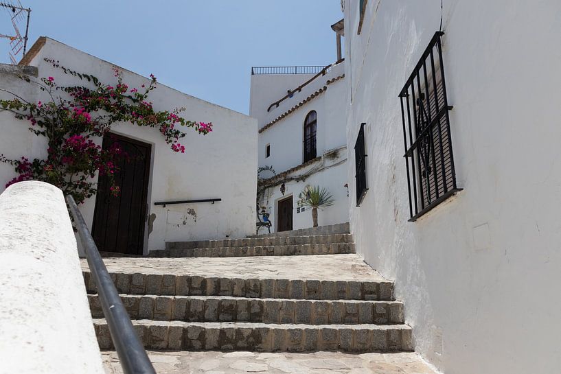 Weiß von Leticia Spruyt