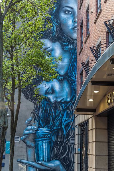 Murale à Belfast par Paul de Roos