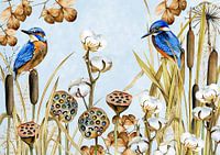 II Les oiseaux hivernent