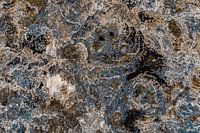 Organische Struktur Abstraktes Kunstwerk