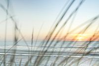 Une soirée au bord de la mer