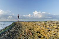 Kleurig najaar op de pier in Lauwersoog