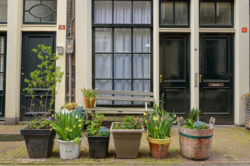 Bloemdwarsstraat Amsterdam by Peter Bartelings