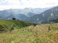 Berglandschap Franse Alpen , groen rustgevend
