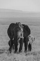 Elephant family | Travel photography Tanzania | Wall art | Wanderlust | Fine art print
