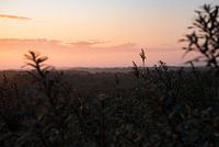 atmospheric perspective