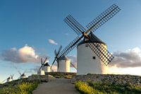 Historische Windmühlen von Don Quijote, in La Mancha (Spanien).