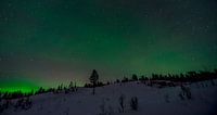 Noorderlicht