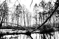 Schots en scheef over de Swalm (Zwart-Wit)