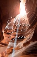 Carpe Diem -