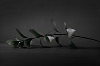 Liggende tak met bladeren