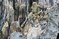 100 Schattierungen von...