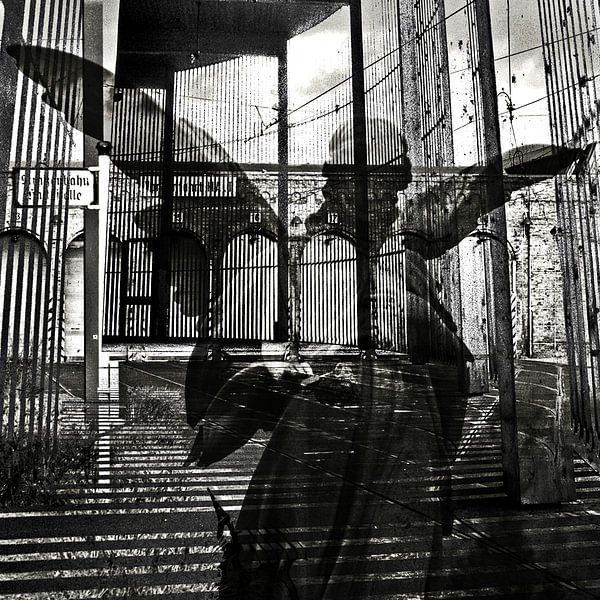 The unexpected arrival of the angels by Silva Wischeropp