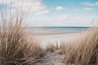 Die Küste von Zeeland