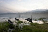 Der Tamblingan-See im frühen Morgenlicht, Bali
