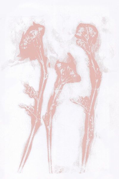 Rosa Blumen im Retro-Stil. Moderne botanische Kunst in Pastellrosa und Weiß. von Dina Dankers