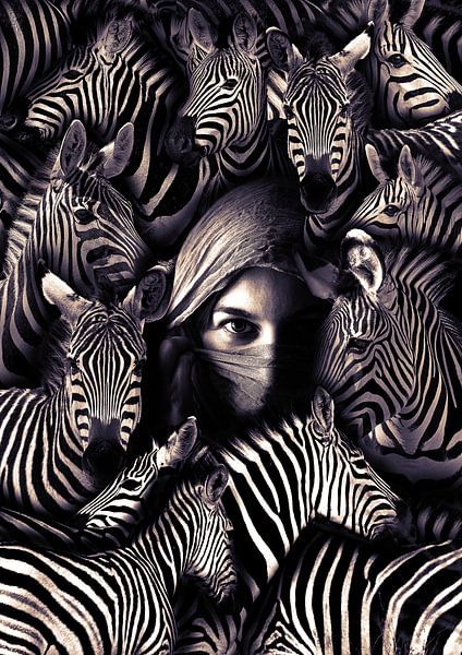Zebra von Bert Hooijer