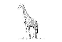 Giraffe schwarze und weiße Linien