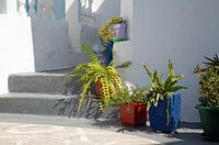 Detail einer Straßenszene in der griechischen Stadt Mandraki