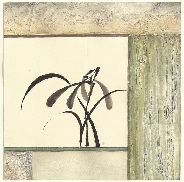 Essence of Orchids, Chris Paschke by Wild Apple