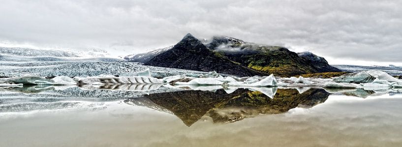 Fjallsarlon par Ab Wubben