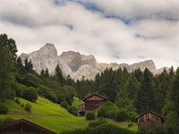 Panorama des Alpes en été