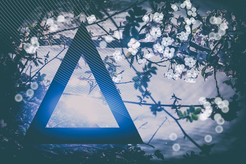 Tod und Geburt, konzeptioneller Hintergrund von Ariadna de Raadt-Goldberg