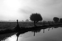 View from a flooded path.