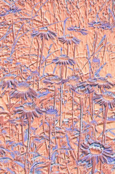 Abstrakte Blumen von Diana Mets