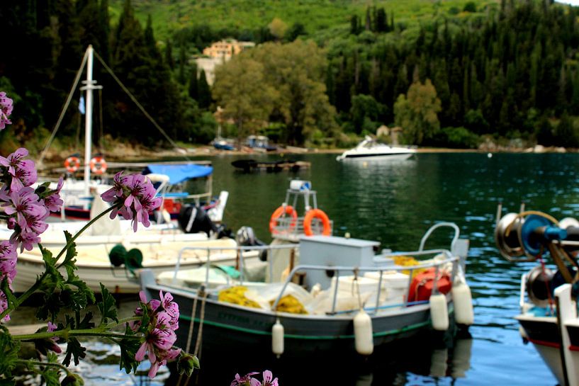 Harbour by Merel Doeve