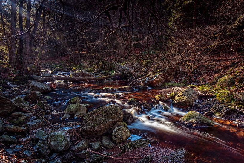 Gebirgsfluss La Hoëgne von Rob Boon