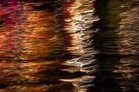 La lumière brillera toujours