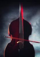 A Woman with her Cello. Part 2