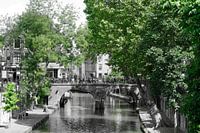 Oudegracht, Utrecht