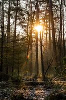 Sonnenaufgang in Laag Soeren
