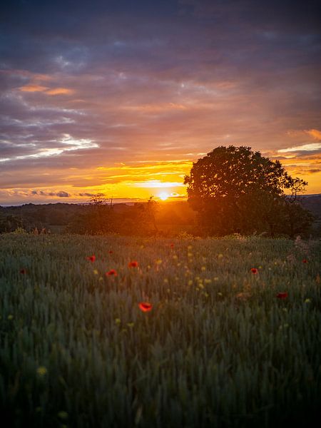Coucher de soleil dans les Vosges par Martijn Joosse