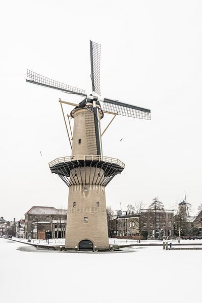 Molen de Kameel in Schiedam van Kok and Kok