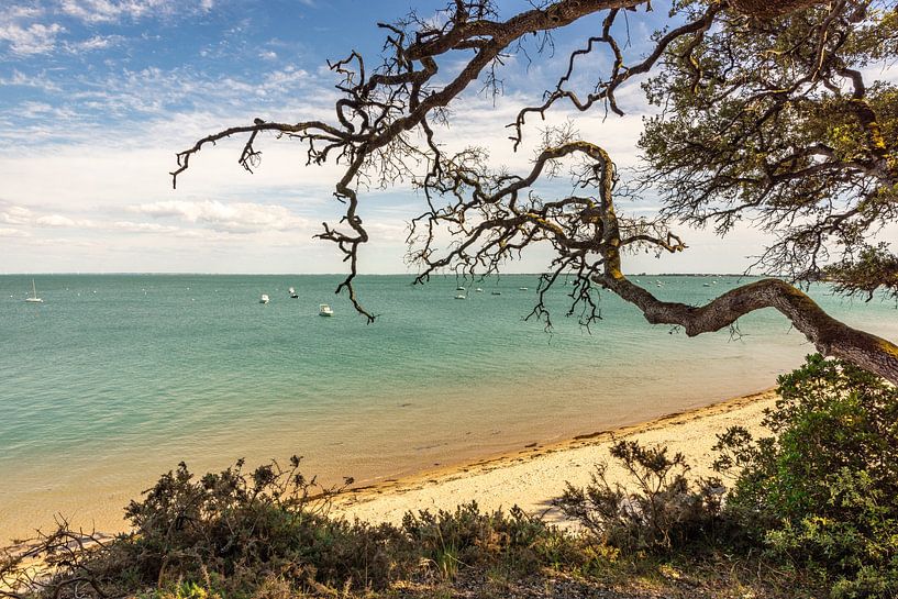 Plage des Sableaux in Île de Noirmoutier von Easycopters