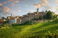 Neive village skyline and Langhe vineyards, Italy