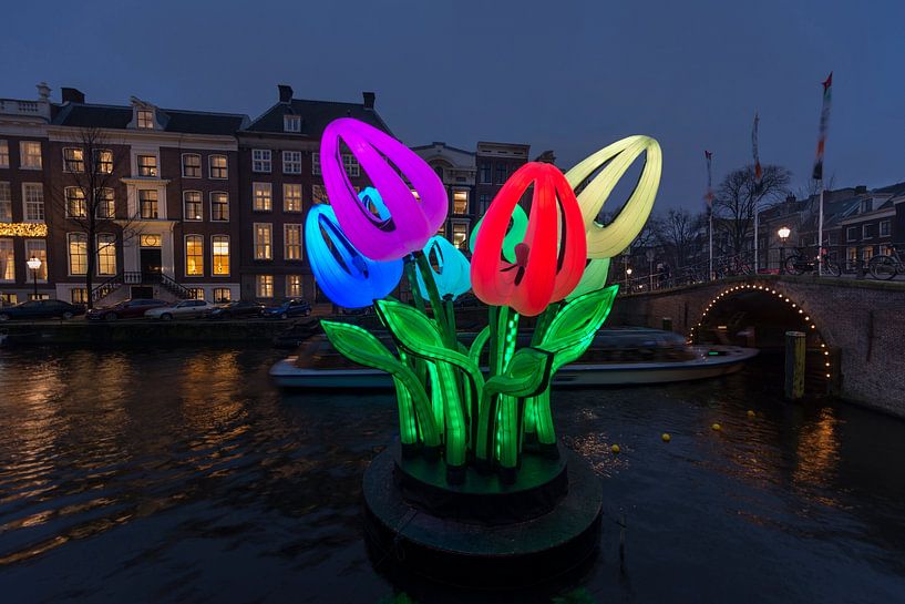 Tulpen während des Amsterdam Light Festival. von Elisabeth Aardema