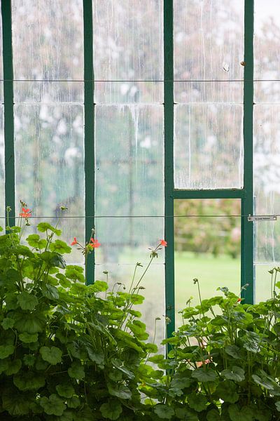 De Koninklijke Serres von marijke servaes