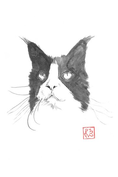 cat face par Péchane Sumie