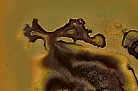 Virtueller Kontinent