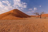 Dune45 - Namibia