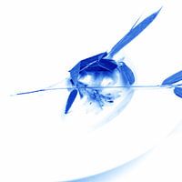 Delftsblauwe Bloemen - Vis 11