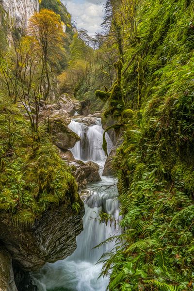 Chute d'eau jurassique par Lars van de Goor