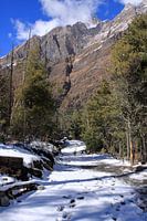 Bezaubernde schneebedeckte Berglandschaft