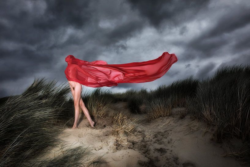 Gegenwind von Bodo Gebhardt